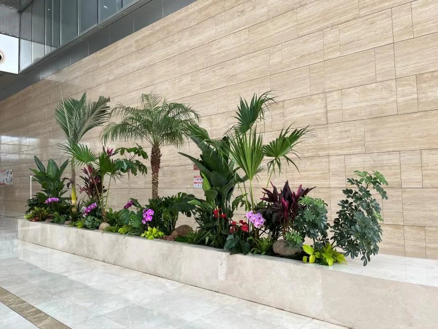 宁波海曙花卉租摆哪家好